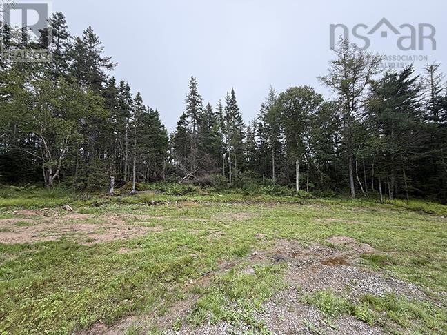 9220 Pepperell Street, St. Peter's, Nova Scotia  B0E 3B0 - Photo 6 - 202624170