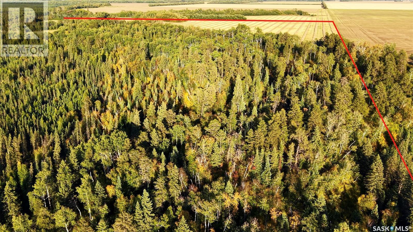 Waterfront land North-East of Nipawin photo 21
