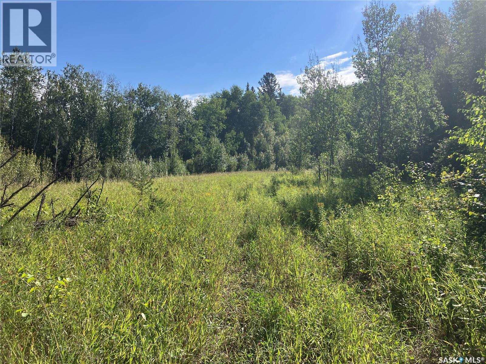 Waterfront land North-East of Nipawin photo 24