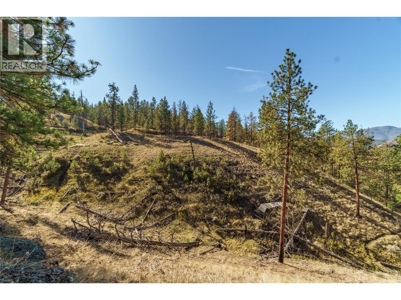 Prpsd Lt 1 47 Street, Okanagan Falls, British Columbia  V0H 1R5 - Photo 23 - 10401523