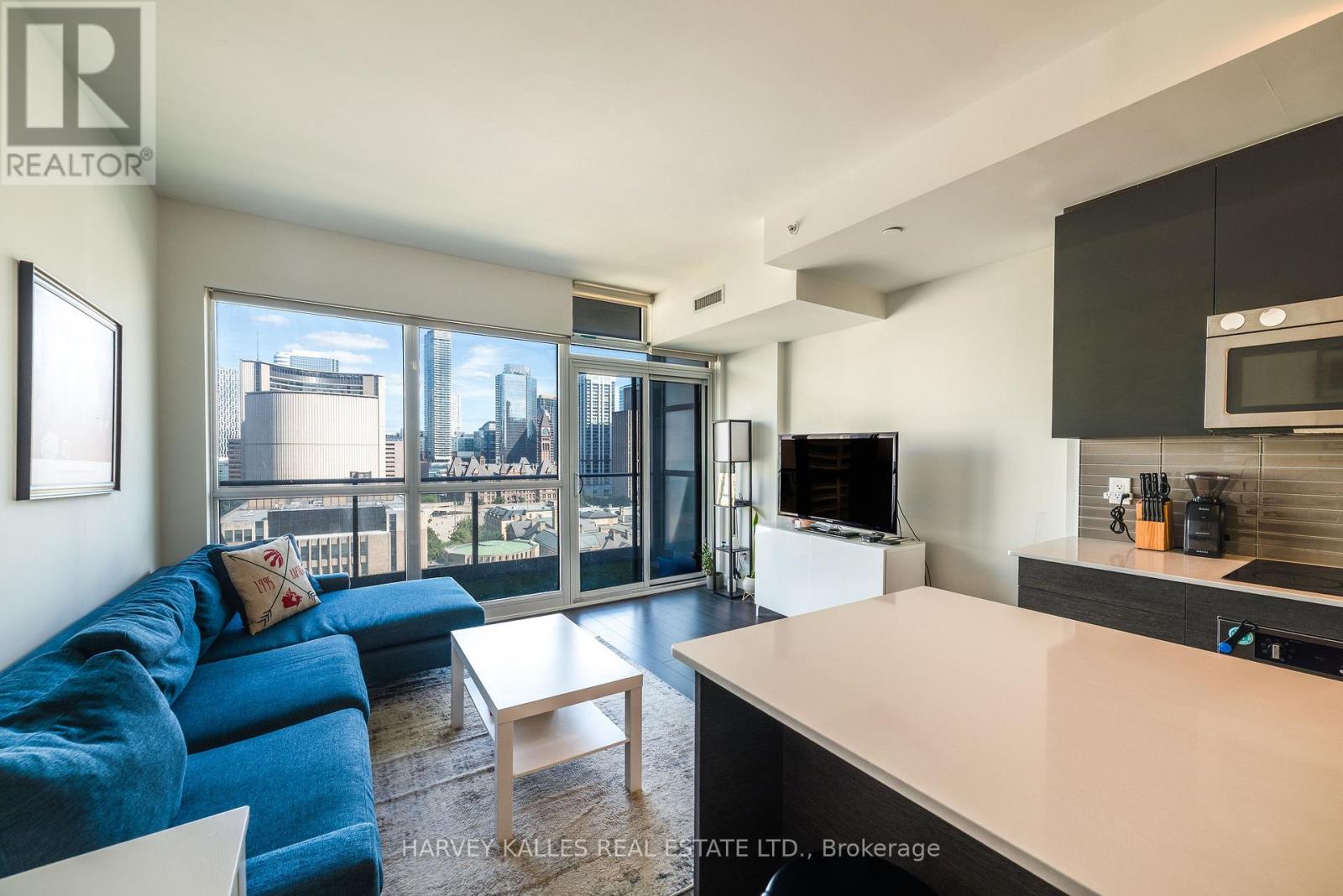 1610 - 210 Simcoe Street, Toronto, Ontario  M5T 0A9 - Photo 5 - C13820984