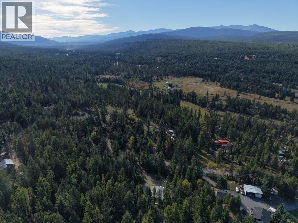 3650 Sliver Spring Drive, Cranbrook, British Columbia V1C 6X8 - Photo 5 - 10401620