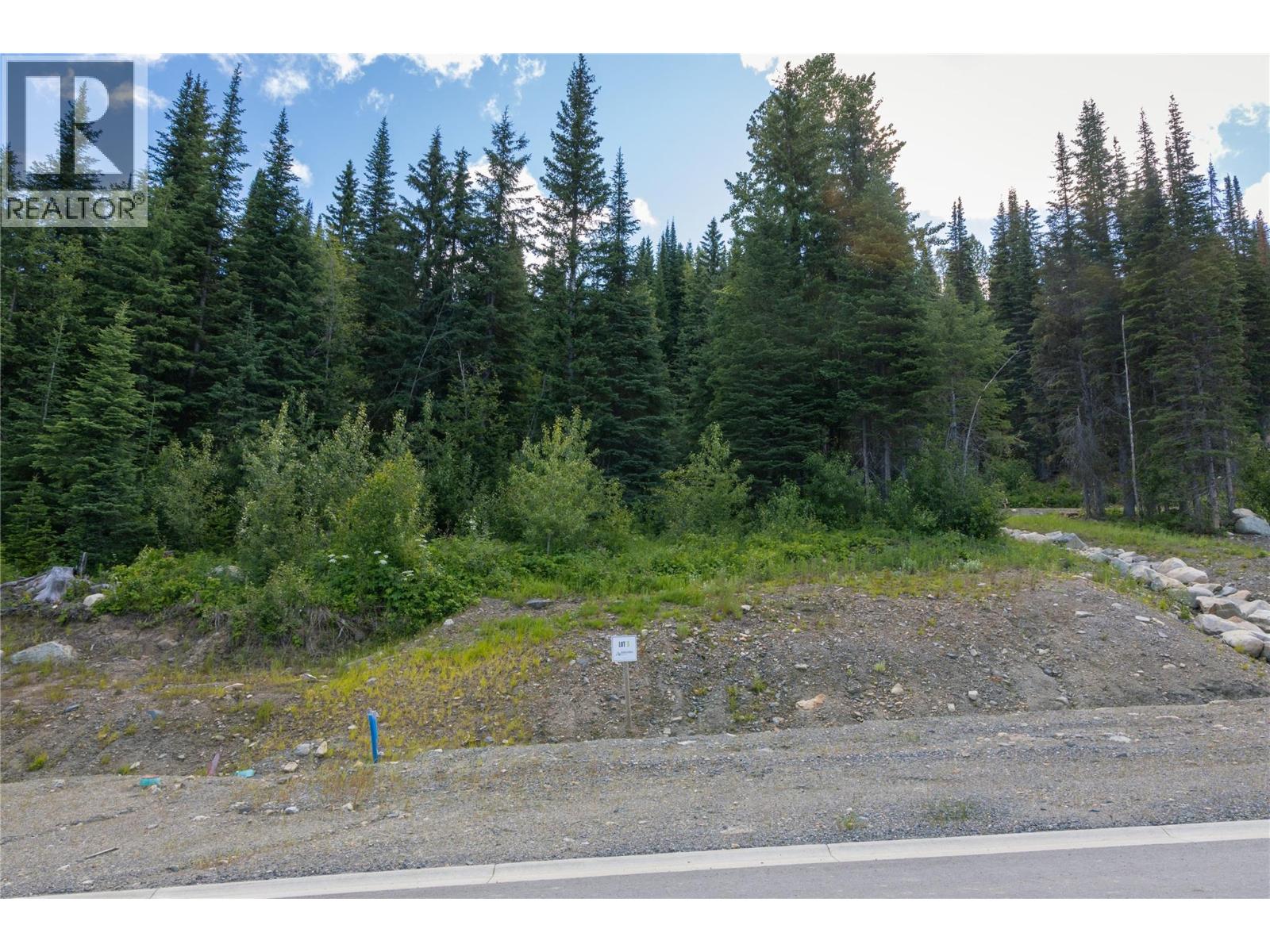 Lot 3 Mcgillivray Lake Drive, Sun Peaks, British Columbia  V0E 5N0 - Photo 5 - 10400770