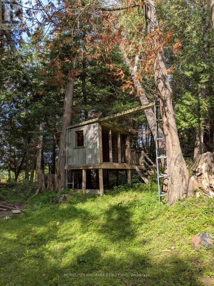 12170 Highway 35, Minden Hills, Ontario  K0M 2K0 - Photo 12 - X13749346
