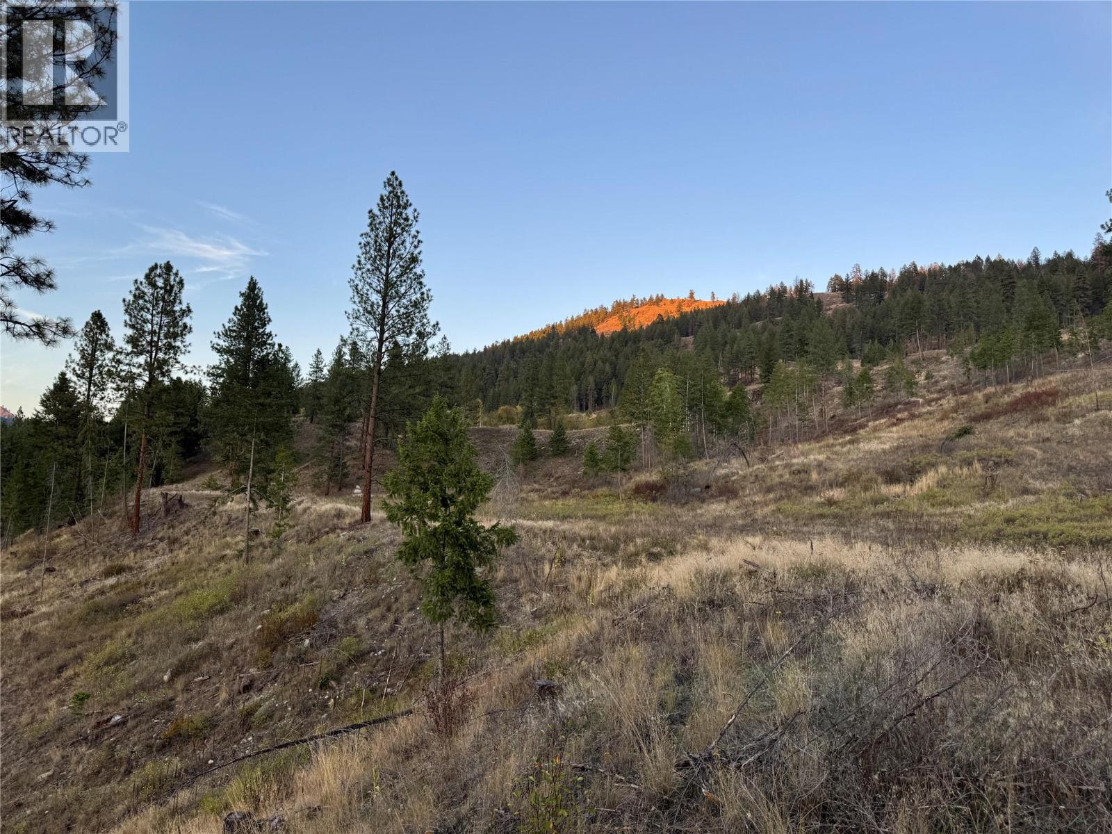 Dl 1402s Kettle River E Road, Rock Creek, British Columbia  V0H 1Y0 - Photo 38 - 10401646