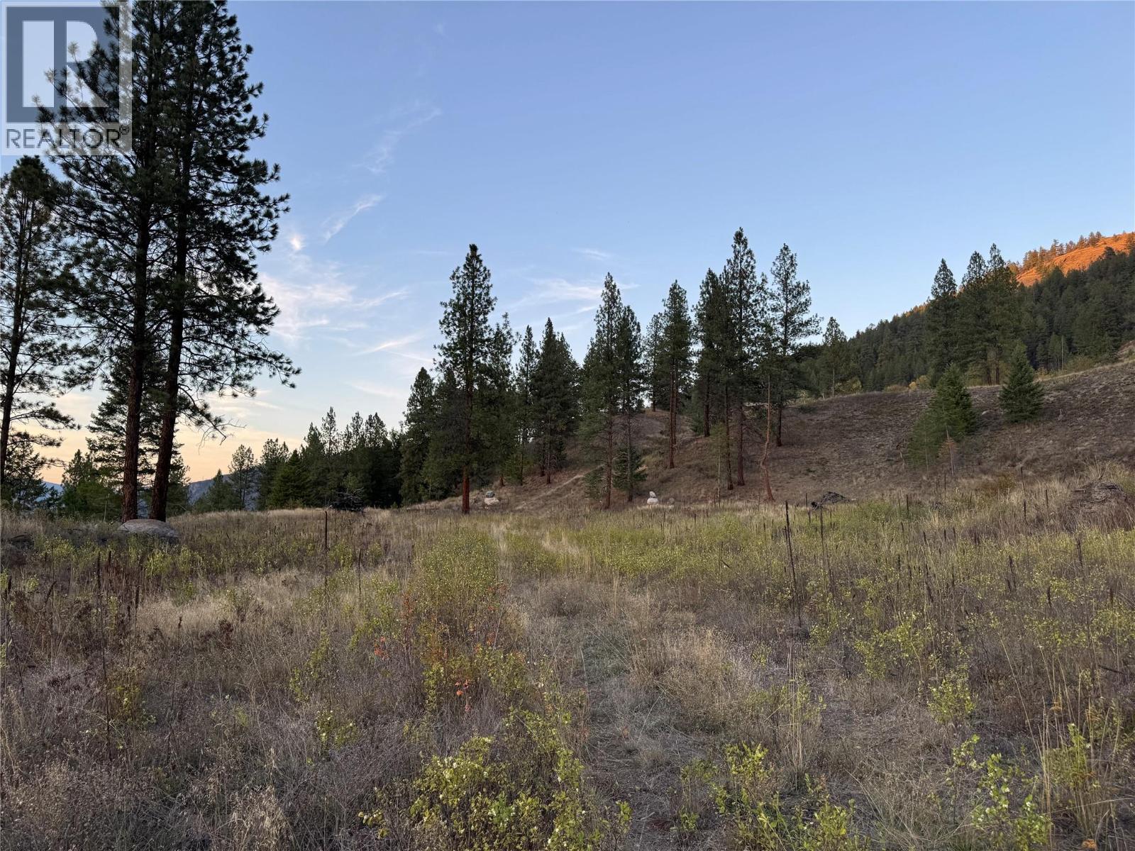 Dl 1402s Kettle River E Road, Rock Creek, British Columbia  V0H 1Y0 - Photo 39 - 10401646