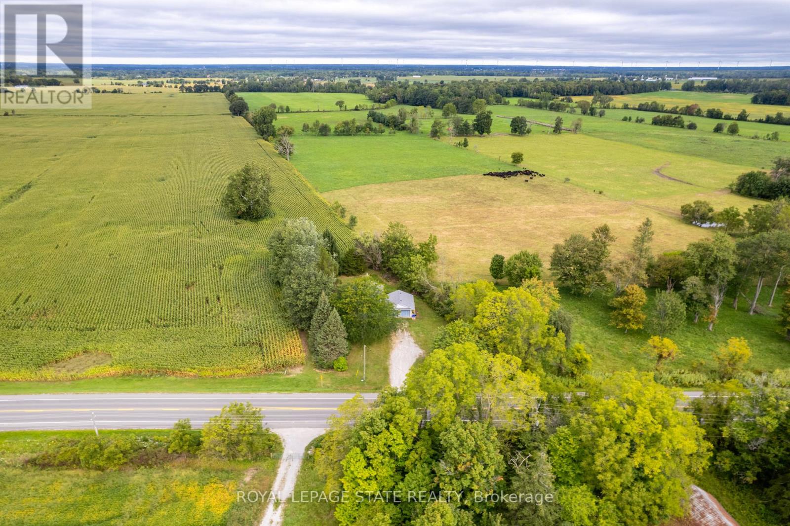 1919 Highway 3 E, Haldimand, Ontario  N1A 2W7 - Photo 43 - X13816262
