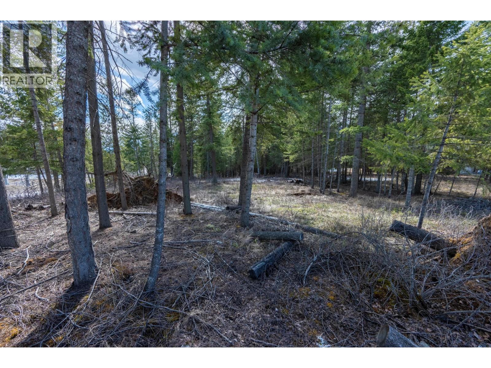 1400 Pine Drive, Golden, British Columbia  V0A 1H1 - Photo 18 - 10401672