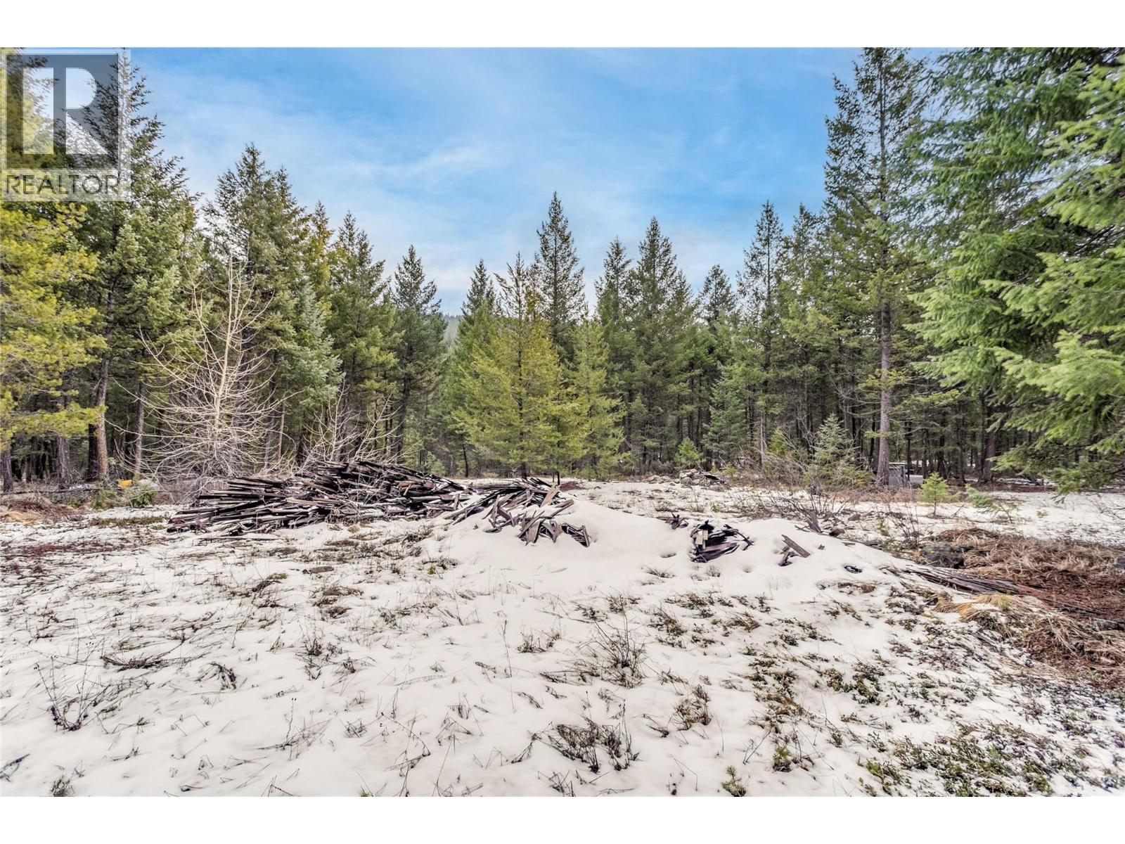 51 Pringle Road, Beaverdell, British Columbia  V0H 1A0 - Photo 14 - 10401641