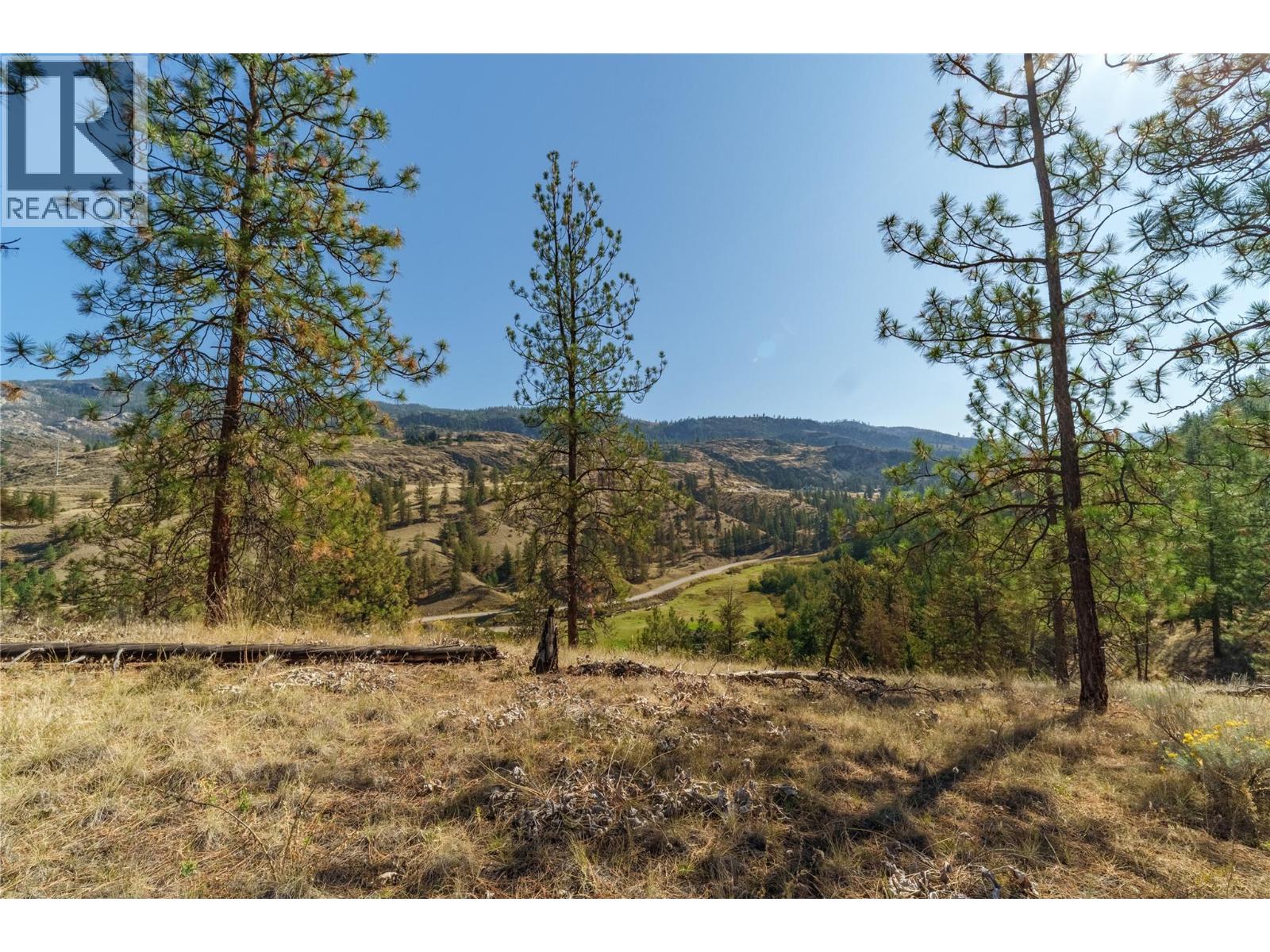 Prpsd Lt 1 47 Street, Okanagan Falls, British Columbia  V0H 1R5 - Photo 12 - 10401523