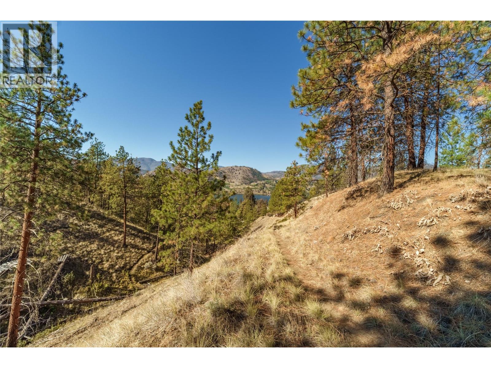 Prpsd Lt 1 47 Street, Okanagan Falls, British Columbia  V0H 1R5 - Photo 21 - 10401523