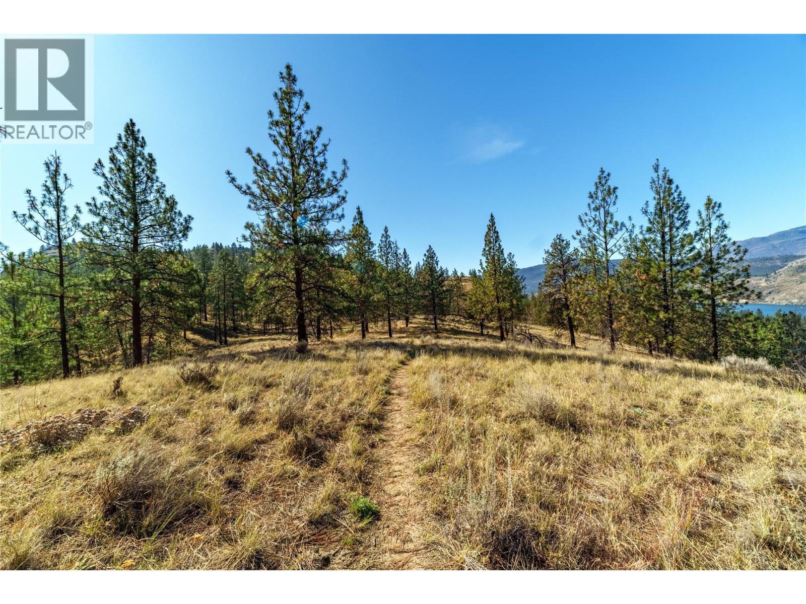 Prpsd Lt 1 47 Street, Okanagan Falls, British Columbia  V0H 1R5 - Photo 11 - 10401523