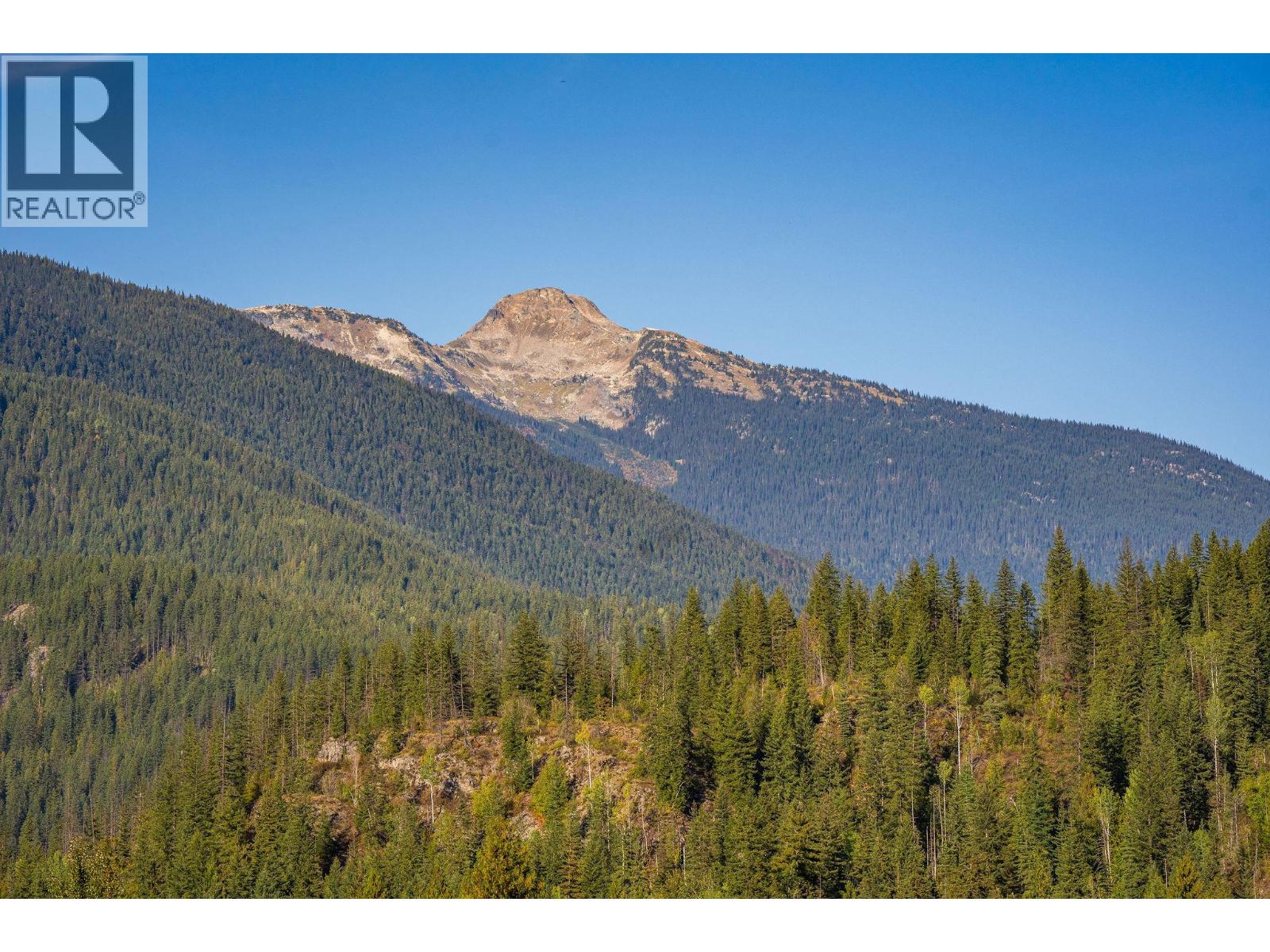 1702 Coursier Avenue Unit# 2501, Revelstoke, British Columbia  V0E 2S1 - Photo 42 - 10401725