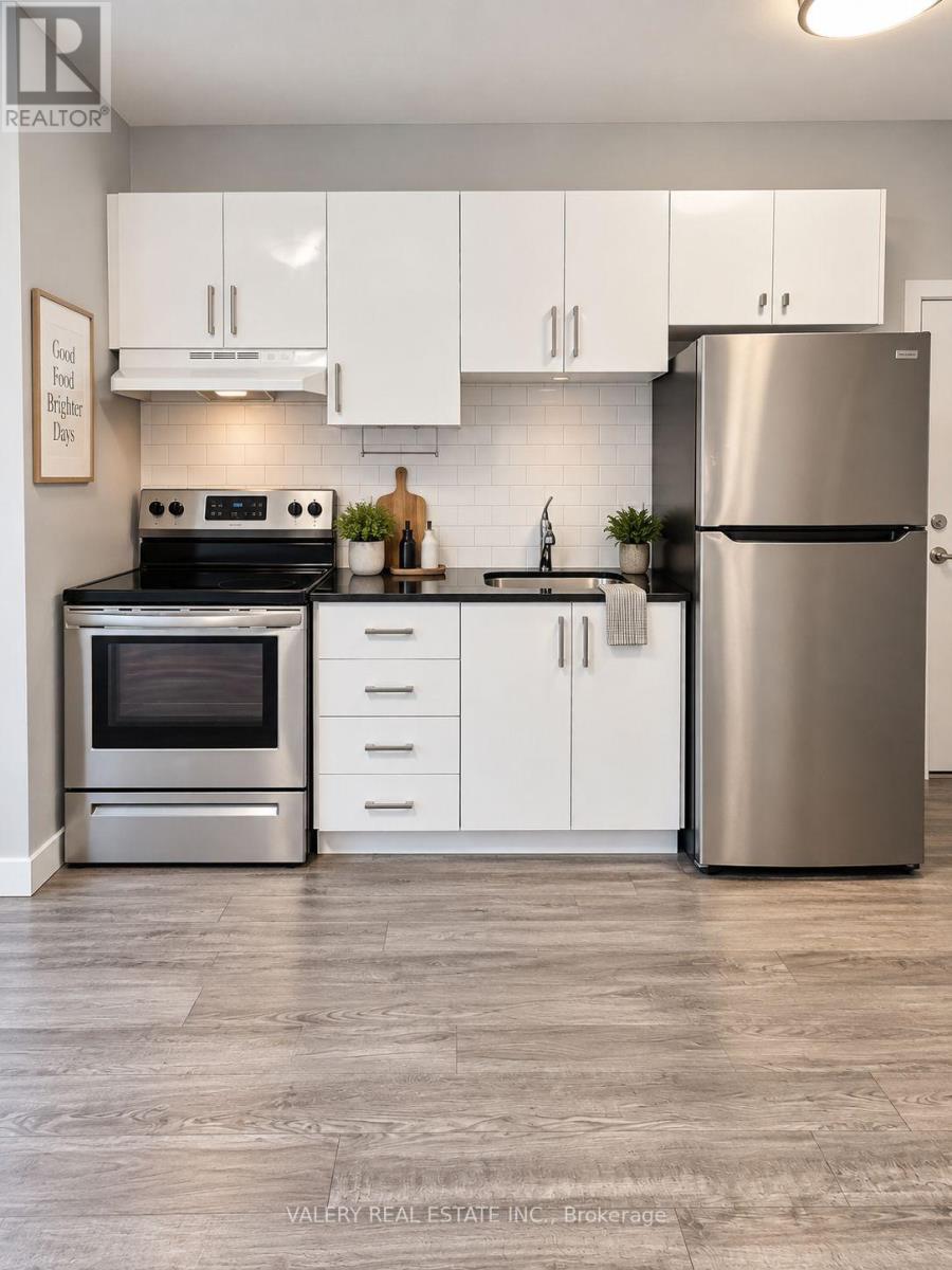 4 - 205 Gerrard Street E, Toronto, Ontario  M5A 2E7 - Photo 3 - C13738948
