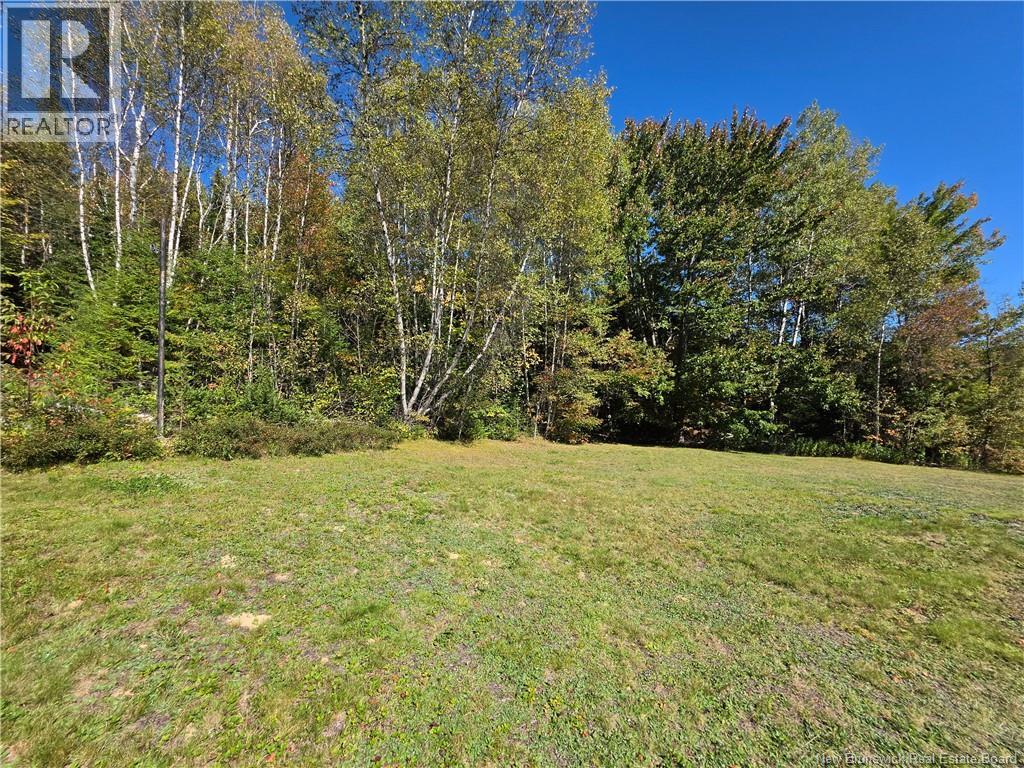 337 Howard Road photo 31