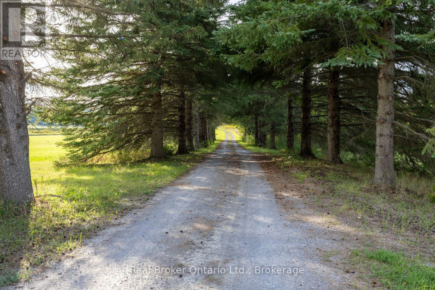 982 Porter Road, Kawartha Lakes, Ontario  L0A 1A0 - Photo 45 - X13802090