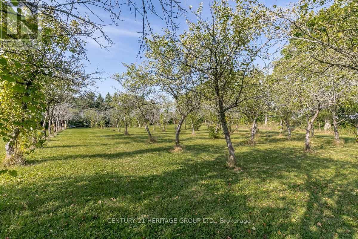 3515 Sideroad 10, Bradford West Gwillimbury (Bradford), Ontario  L3Z 3V5 - Photo 33 - N13821630