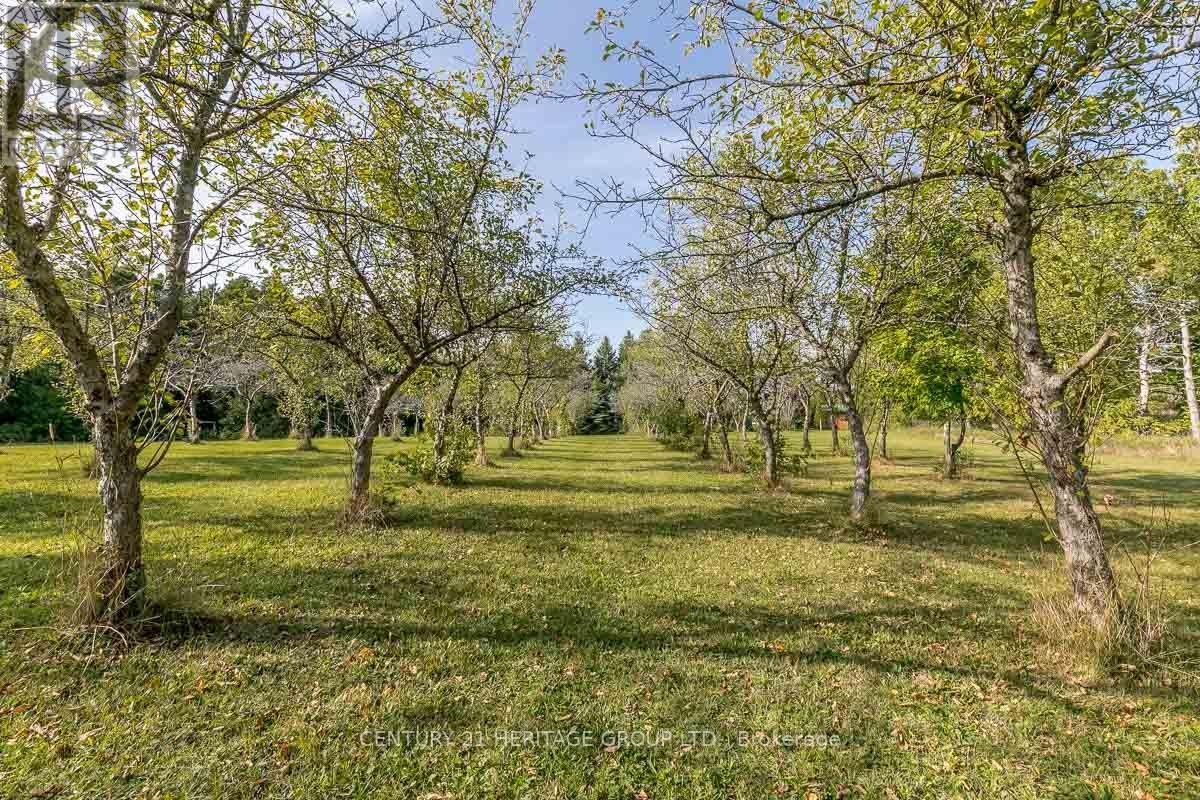 3515 Sideroad 10, Bradford West Gwillimbury (Bradford), Ontario  L3Z 3V5 - Photo 34 - N13821630