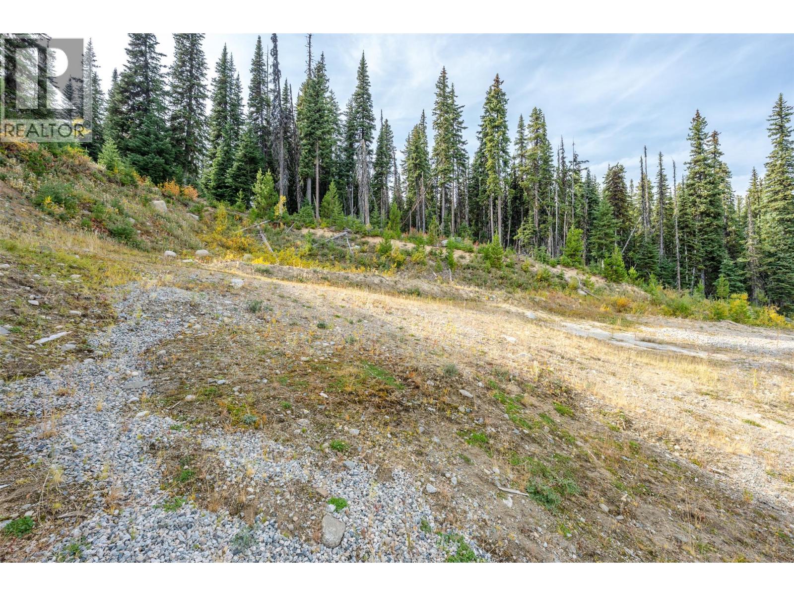 185 Snow Mountain Place, Apex Mountain, British Columbia  V2A 0E2 - Photo 11 - 10401659