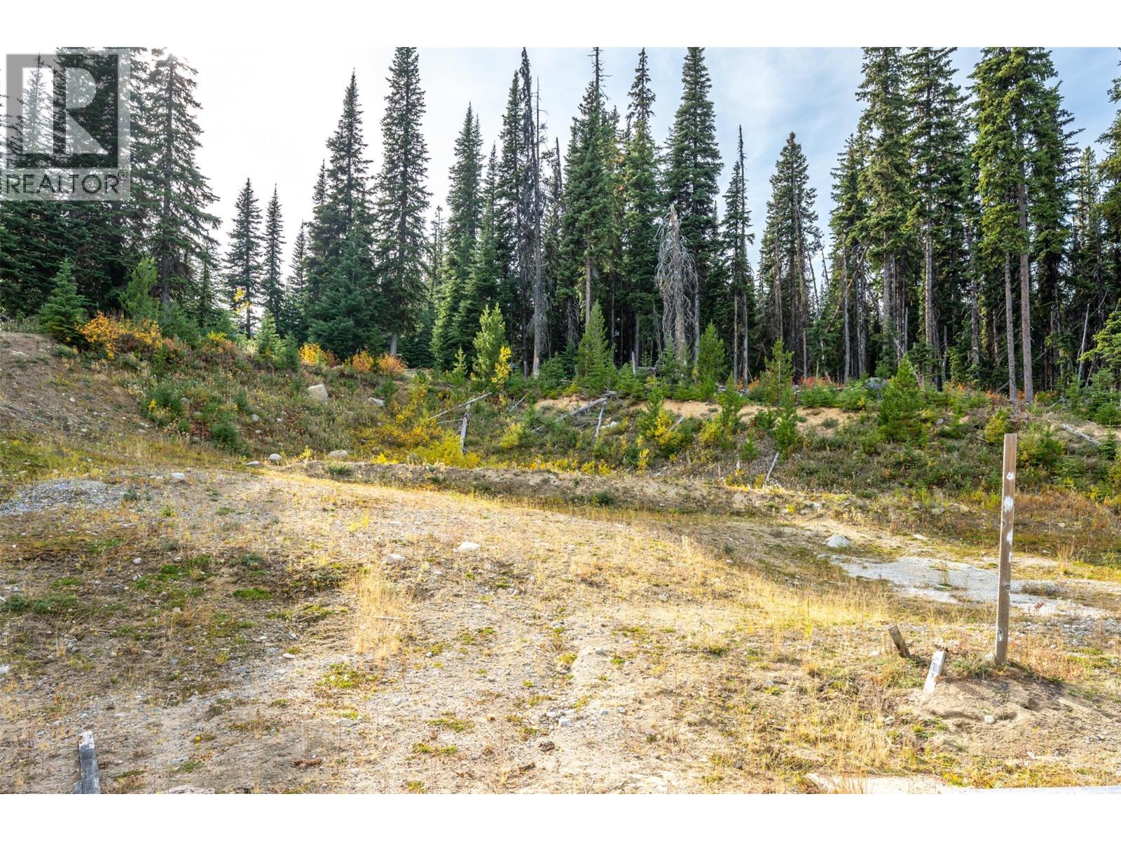 185 Snow Mountain Place, Apex Mountain, British Columbia  V2A 0E2 - Photo 3 - 10401659