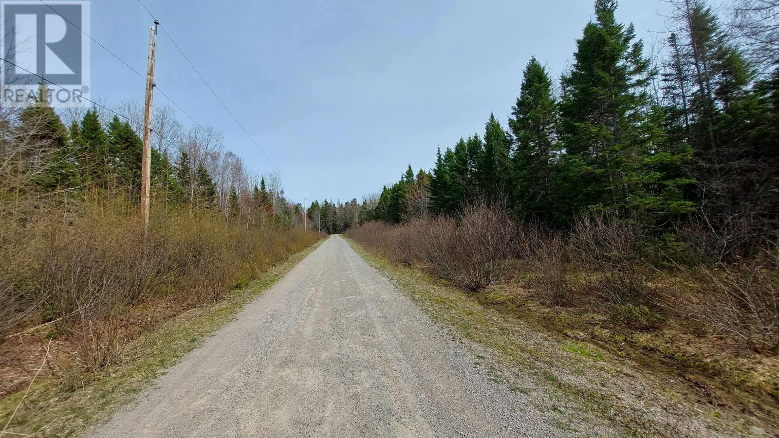 Lot 8 Evanston Rd, Evanston, Nova Scotia  B0E 1J0 - Photo 14 - 202624184