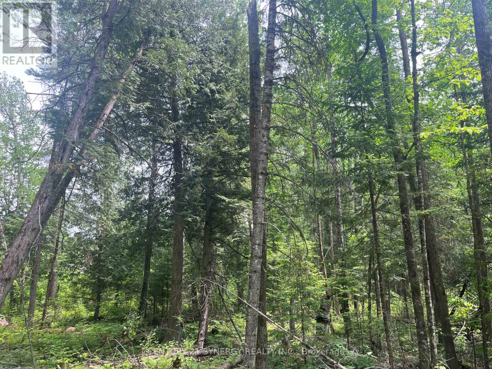 00 Bellamy Road, Mcnab/braeside, Ontario K0A 3L0 - Photo 10 - X12764978
