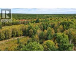 LOT Weldfield-Collette Road, Napan, New Brunswick