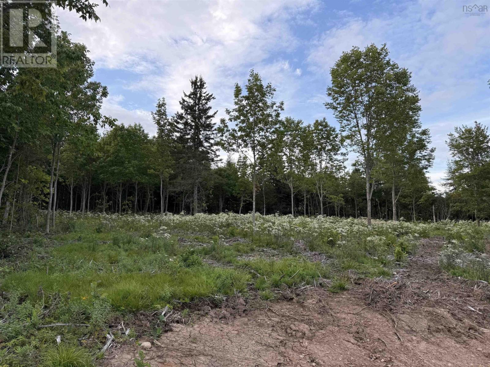 Lot 28 Mull River Road, Mabou, Nova Scotia  B0E 1X0 - Photo 2 - 202618640