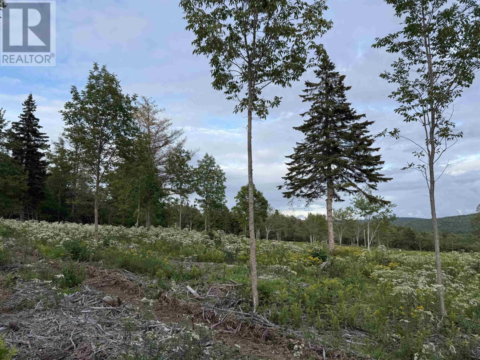 Lot 28 Mull River Road, Mabou, Nova Scotia  B0E 1X0 - Photo 12 - 202618640