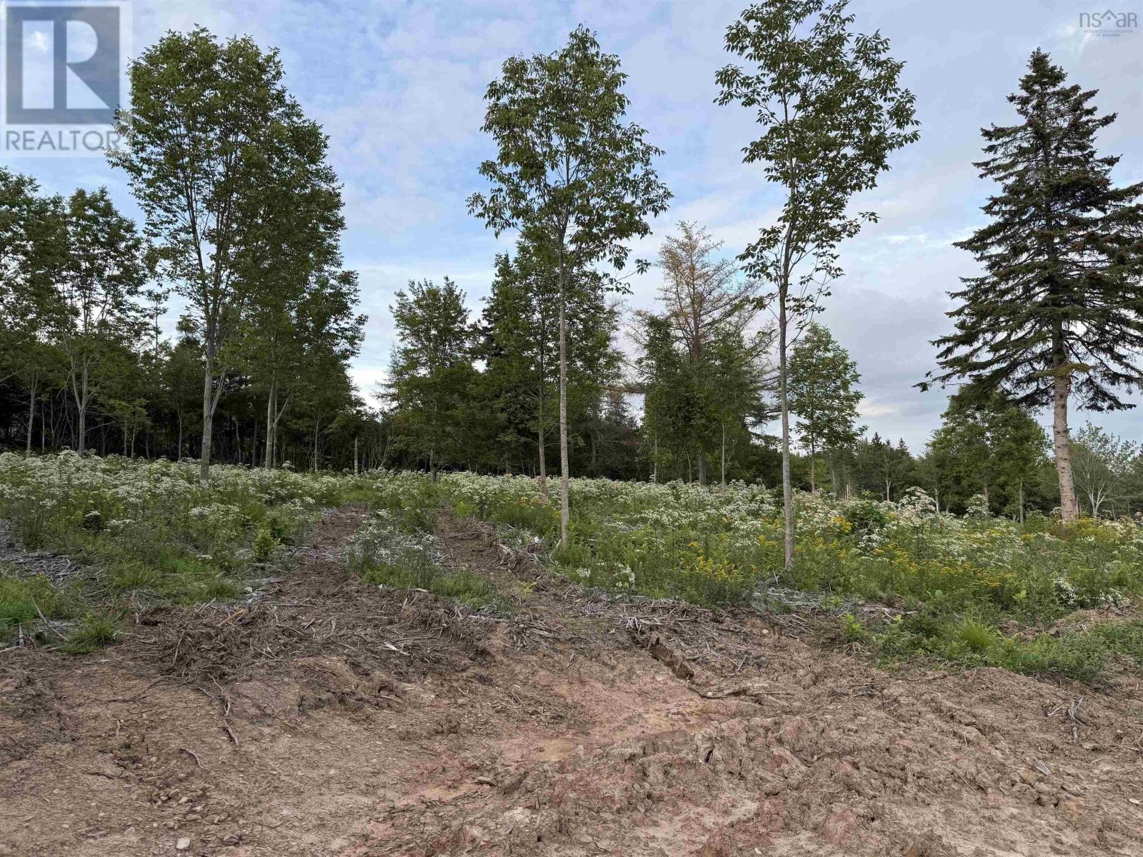 Lot 28 Mull River Road, Mabou, Nova Scotia  B0E 1X0 - Photo 8 - 202618640