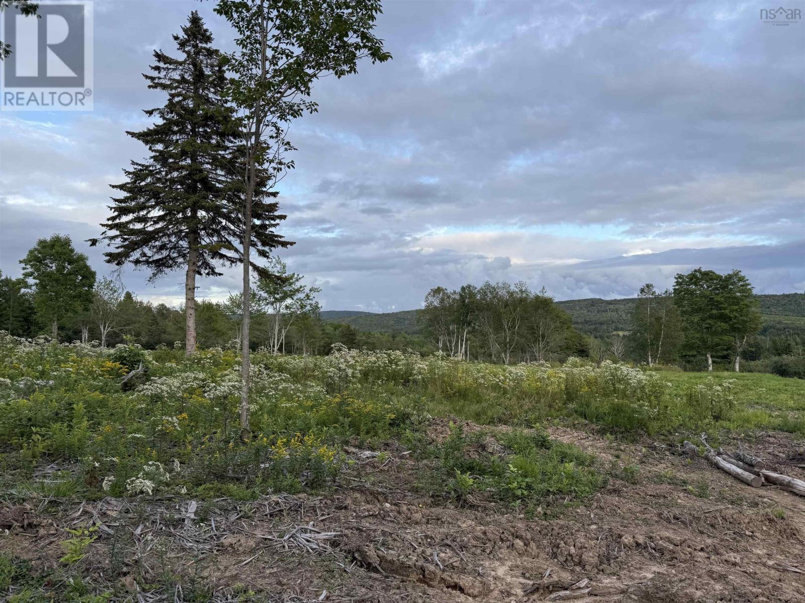 Lot 28 Mull River Road, Mabou, Nova Scotia  B0E 1X0 - Photo 9 - 202618640