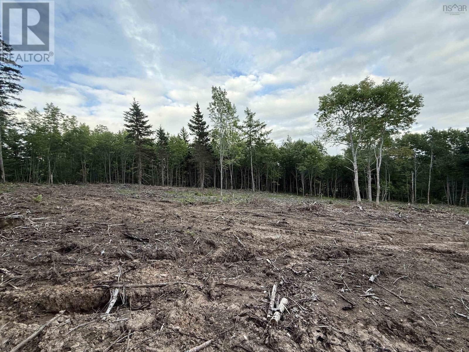 Lot 29 Mull River Road, Mabou, Nova Scotia  B0E 1X0 - Photo 5 - 202618642