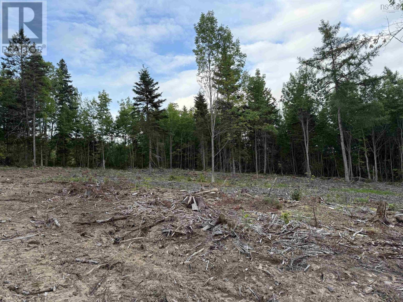 Lot 29 Mull River Road, Mabou, Nova Scotia  B0E 1X0 - Photo 2 - 202618642