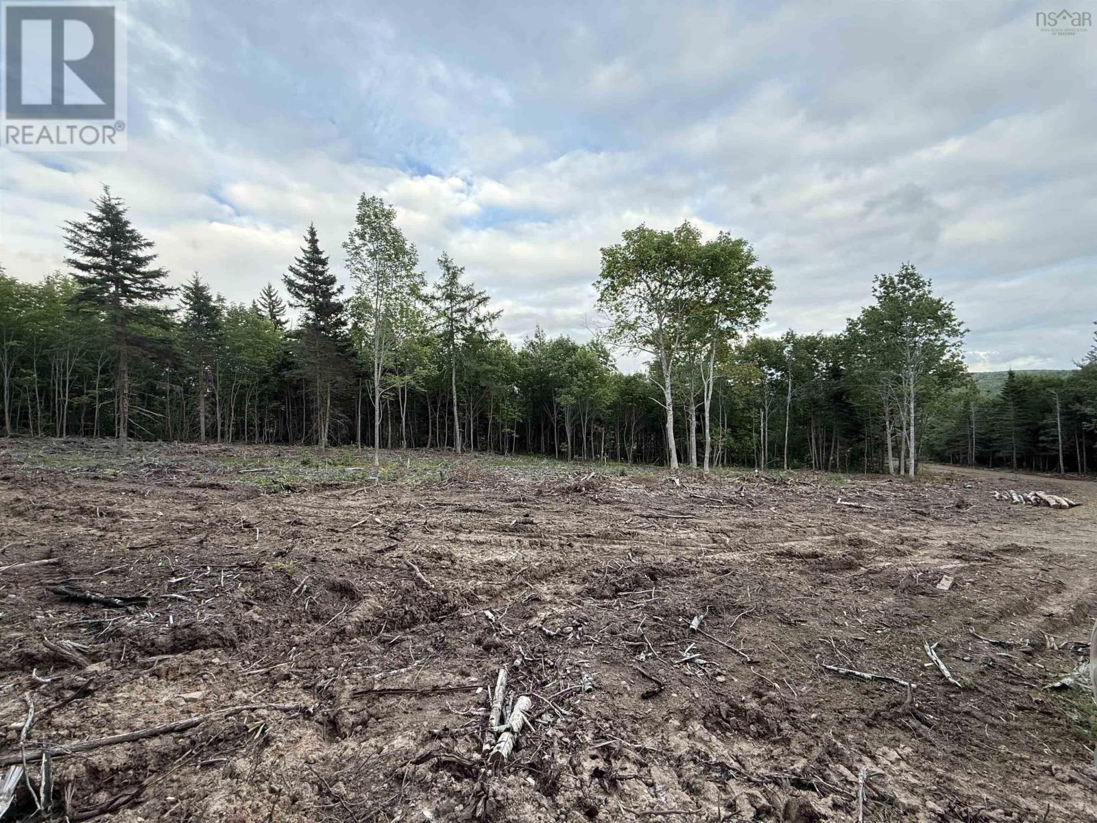 Lot 29 Mull River Road, Mabou, Nova Scotia  B0E 1X0 - Photo 6 - 202618642