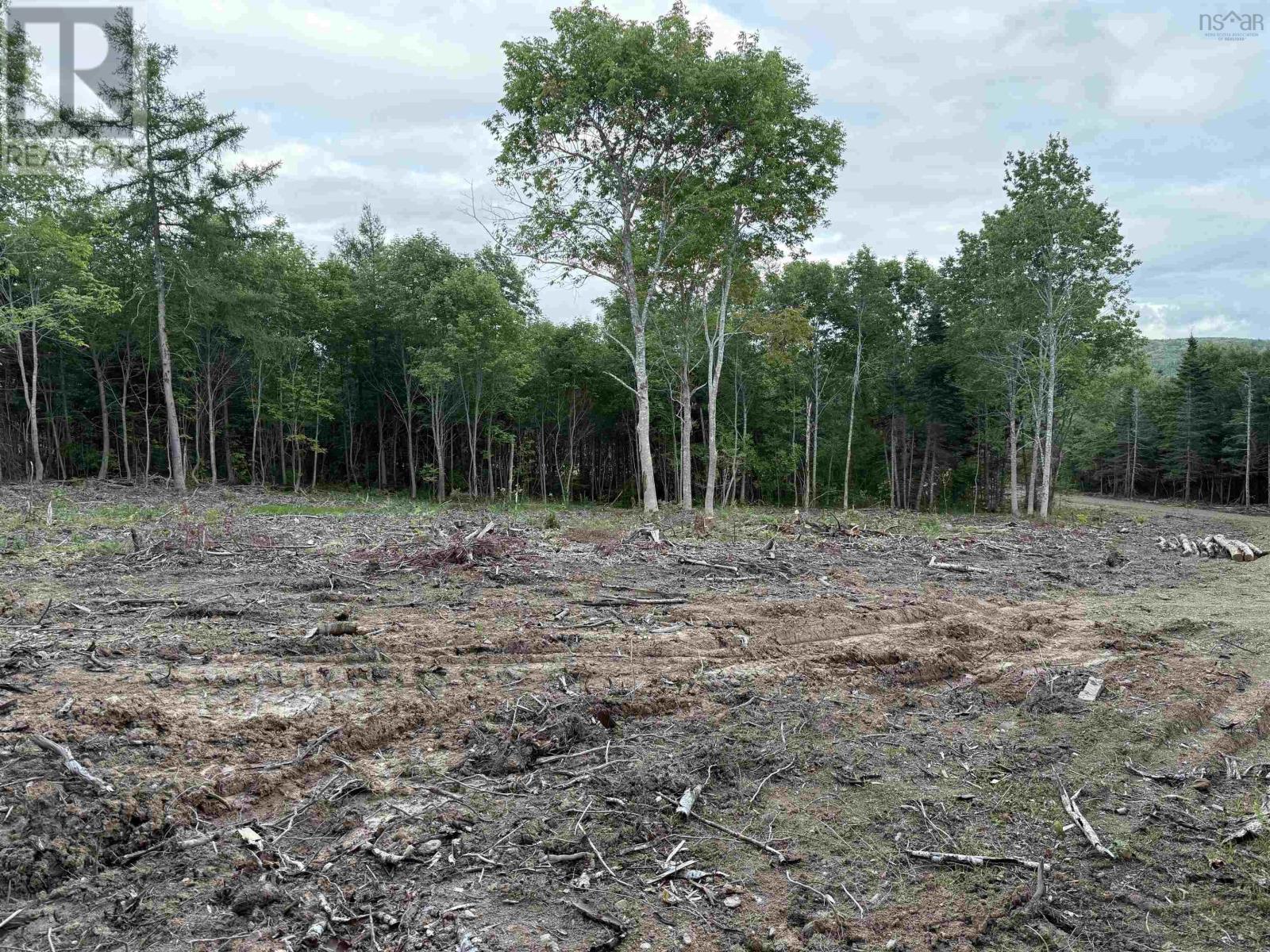 Lot 29 Mull River Road, Mabou, Nova Scotia  B0E 1X0 - Photo 4 - 202618642
