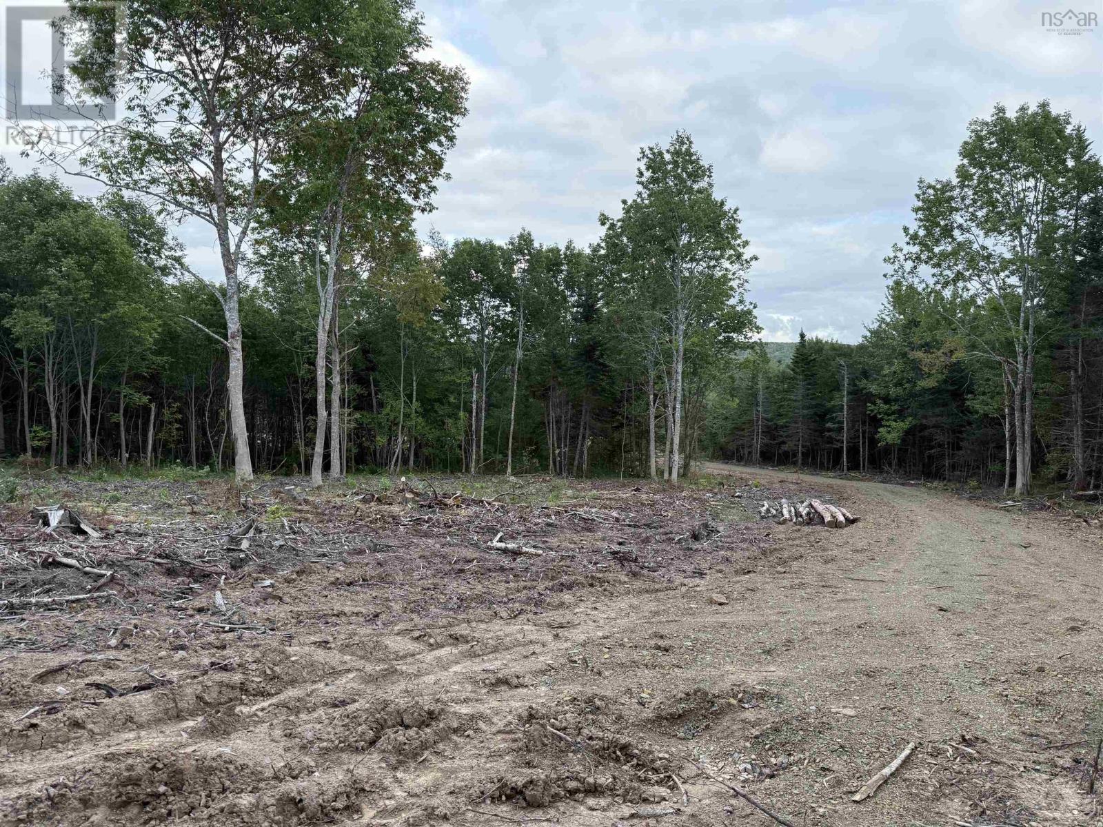 Lot 29 Mull River Road, Mabou, Nova Scotia  B0E 1X0 - Photo 3 - 202618642