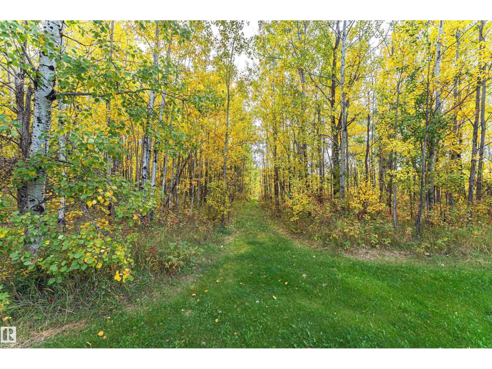 55415 Rge Road 13, Rural Lac Ste. Anne County, Alberta  T0E 1V0 - Photo 56 - E4510099