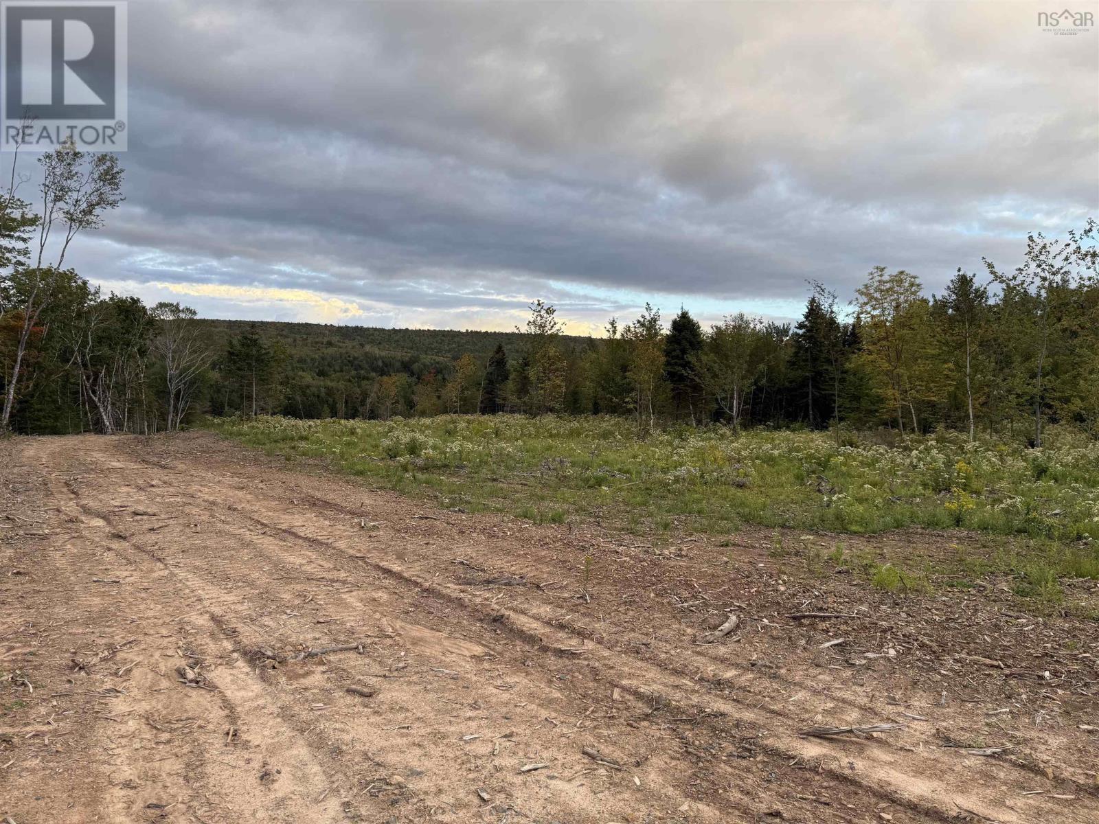 Mull River Road, Mabou, Nova Scotia  B0E 1X0 - Photo 5 - 202618635
