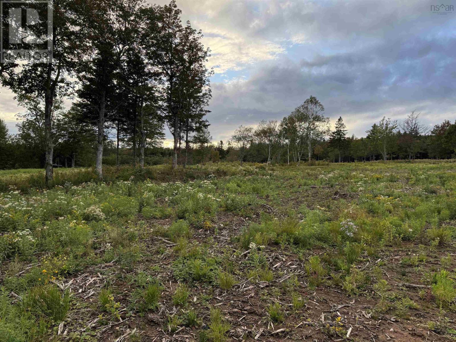 Lot 27 Mull River Road, Mabou, Nova Scotia  B0E 1X0 - Photo 7 - 202618639