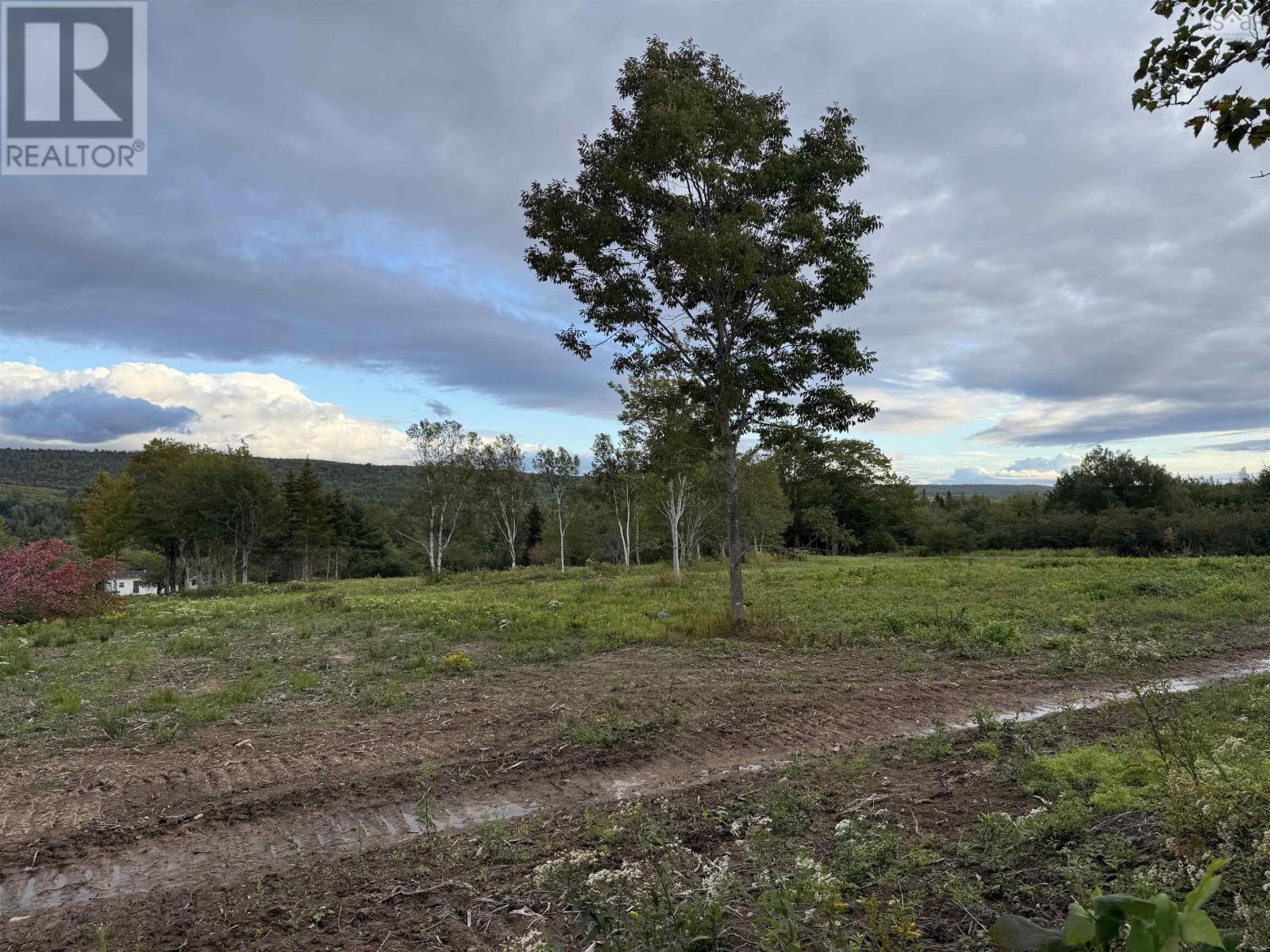 Lot 27 Mull River Road, Mabou, Nova Scotia  B0E 1X0 - Photo 6 - 202618639