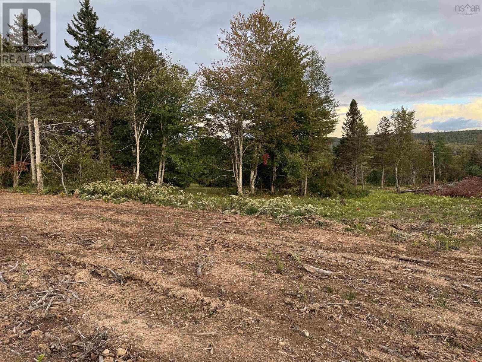 Lot 25 Mull River Road, Mabou, Nova Scotia  B0E 1X0 - Photo 4 - 202618636
