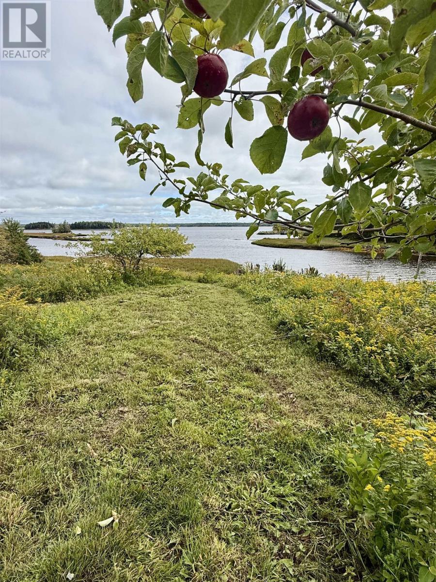 635 West Green Harbour Road, West Green Harbour, Nova Scotia  B0T 1L0 - Photo 27 - 202624127