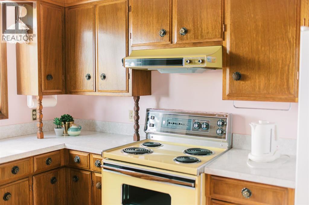 121 2nd Avenue S, Big Valley, Alberta  T0J 0G0 - Photo 12 - A2347574
