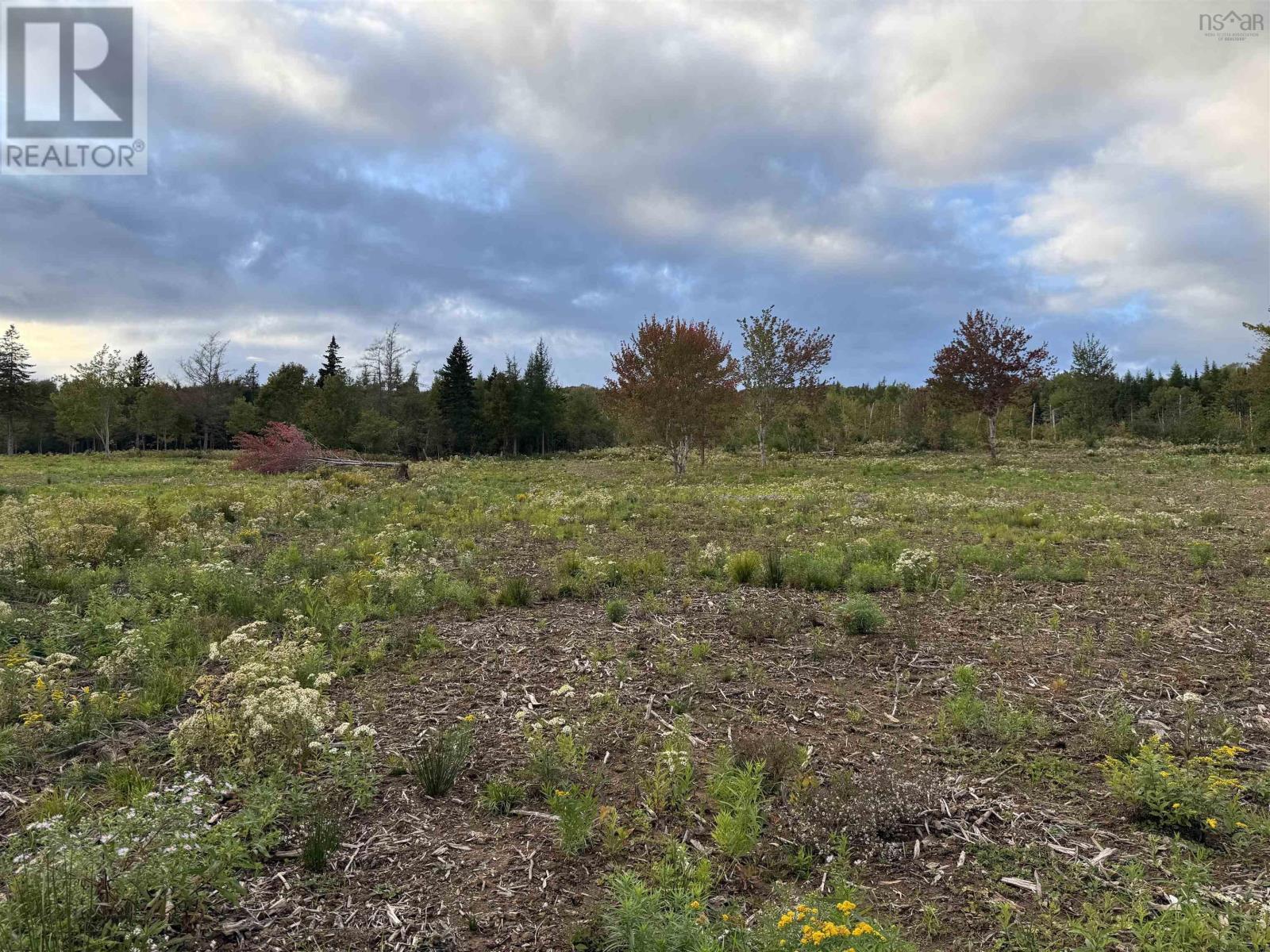 Lot 26 Mull River Road, Mabou, Nova Scotia  B0E 1X0 - Photo 6 - 202618638