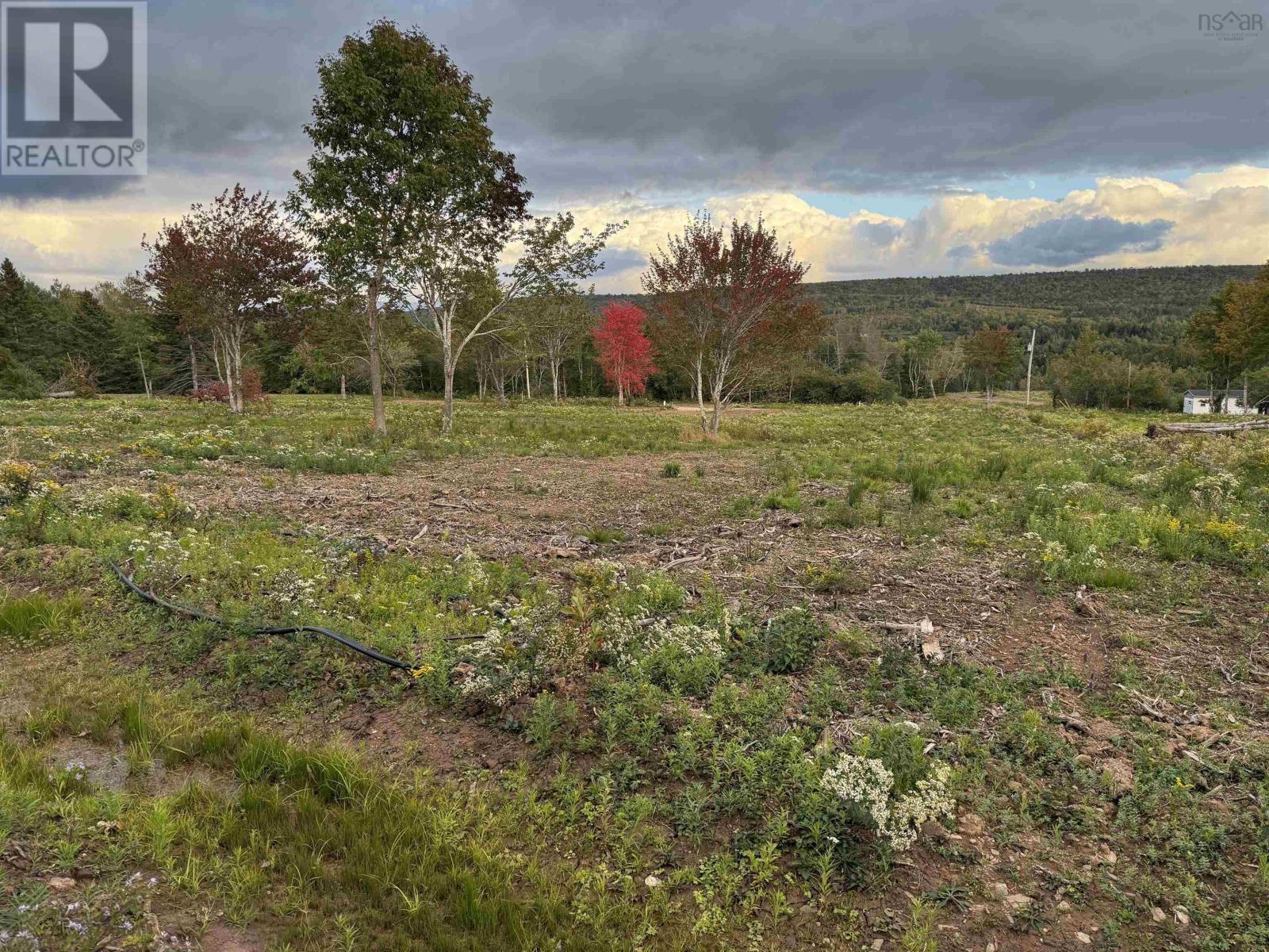 Lot 26 Mull River Road, Mabou, Nova Scotia  B0E 1X0 - Photo 4 - 202618638