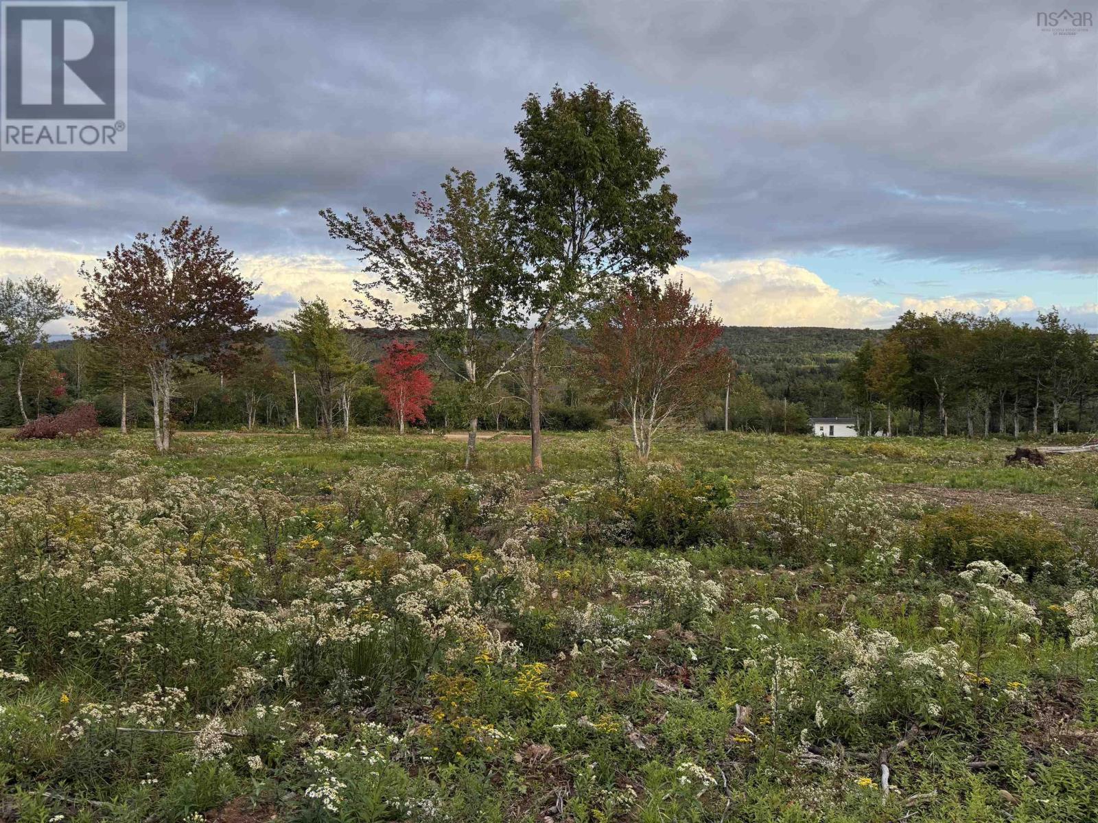 Lot 26 Mull River Road, Mabou, Nova Scotia  B0E 1X0 - Photo 5 - 202618638