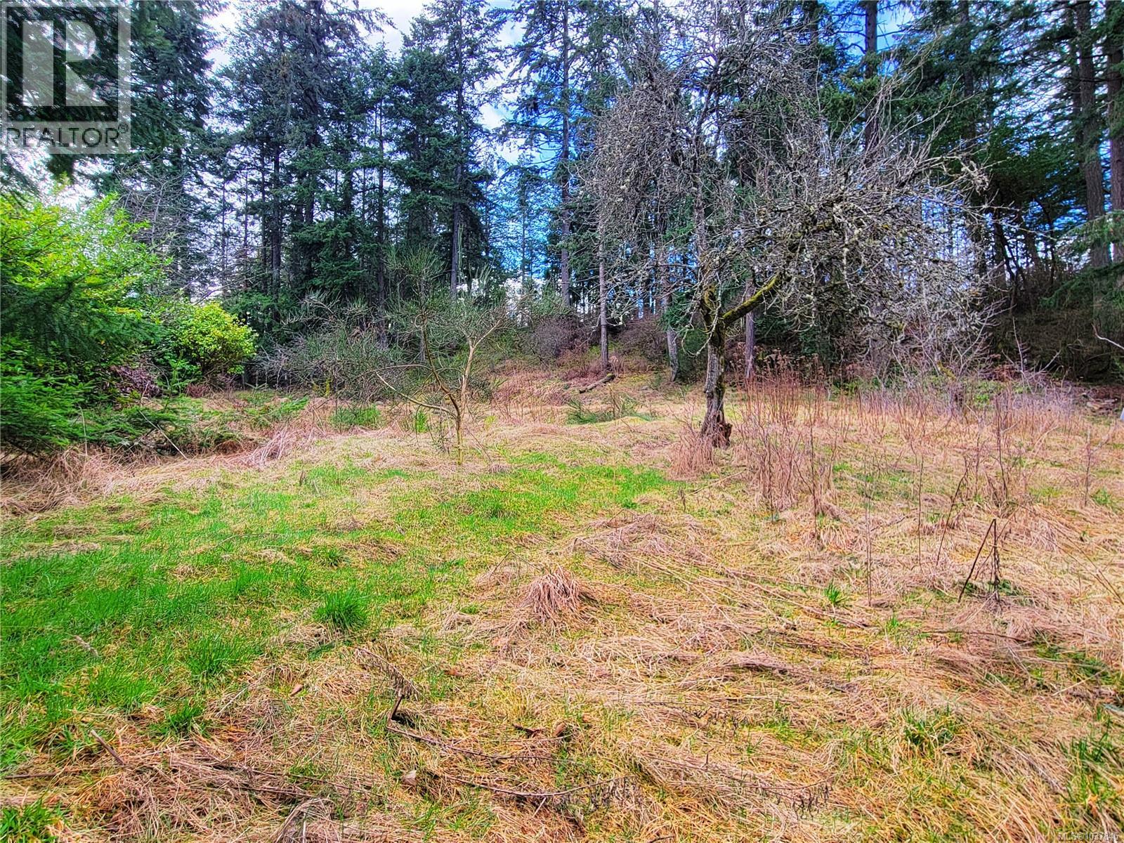 1015 Park Ave, Nanaimo, British Columbia  V9R 4J5 - Photo 6 - 1037845