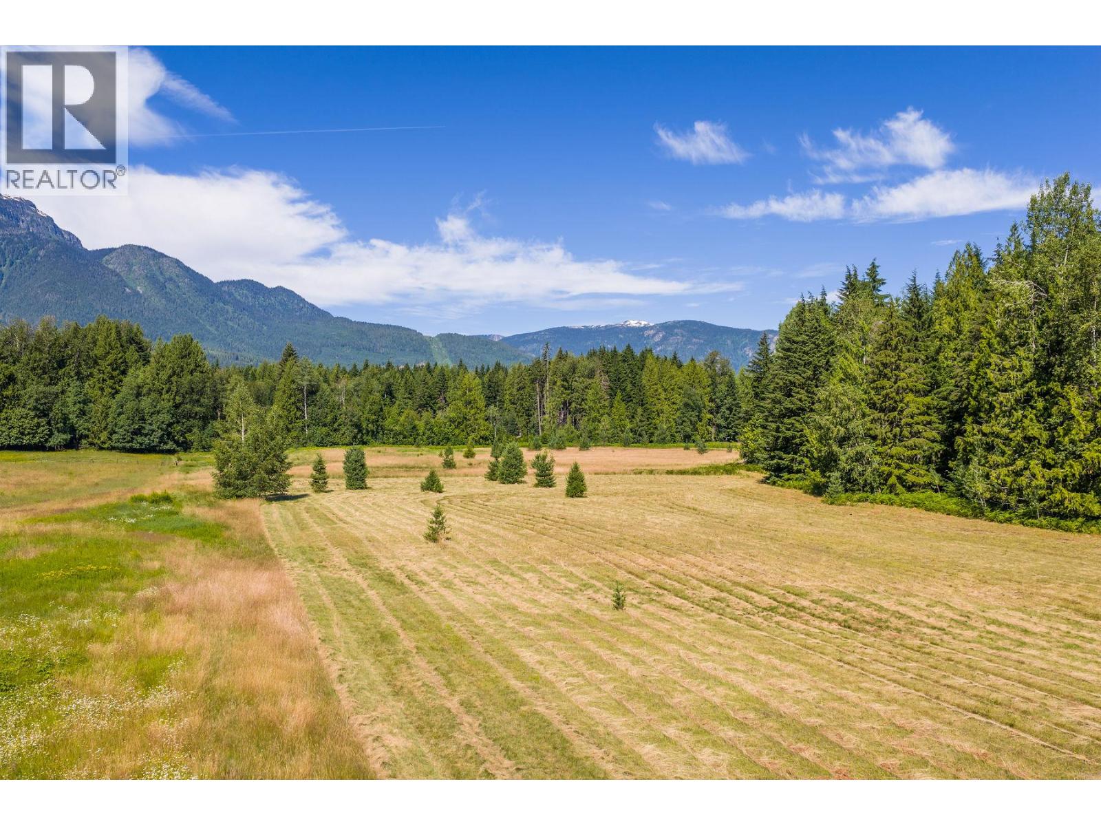 3309 Catherwood Road, Revelstoke, British Columbia  V0E 2S1 - Photo 46 - 10394067