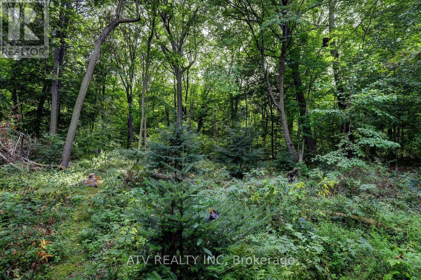 235 Saint Marks Road, Toronto, Ontario M6S 2J1 - Photo 39 - W13804706