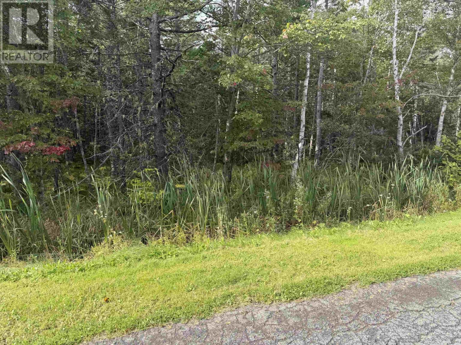 schaller Drive, sydney forks, Nova Scotia